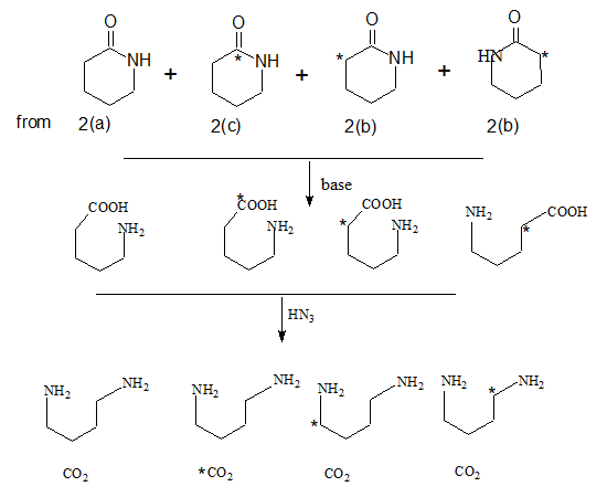amide to CO2
