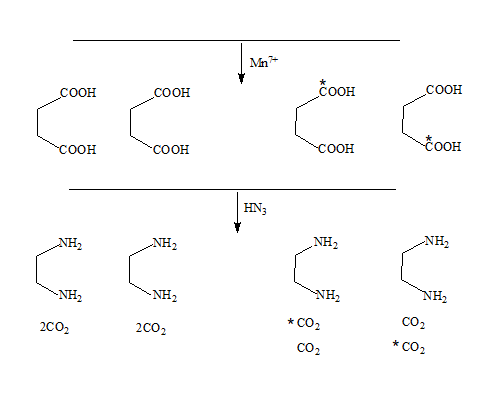 dicarboxylic acids to CO2