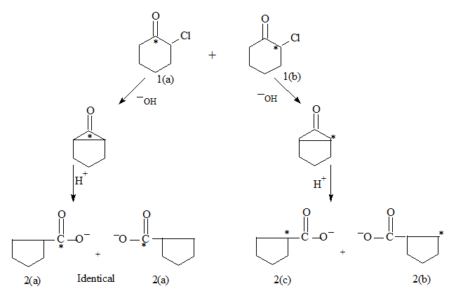 degradation study