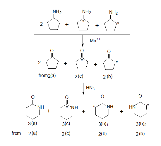 amines to amaides