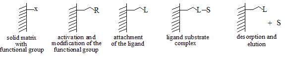 Affinity Chromatography