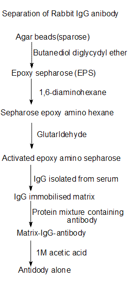 Affinity Chromatography