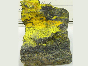 Carnotite