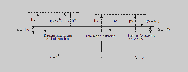 Rayleigh and Raman Scatterings 