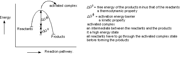 Energy Profile of a Chemical Reaction